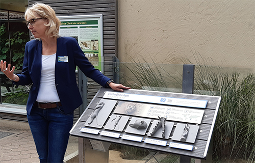 Eine Frau an der tastbaren Infotafel am Tierpark Bochum